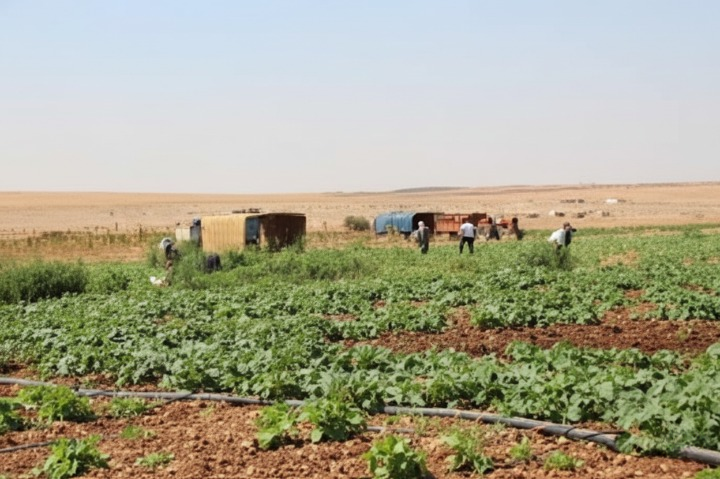 نهضة الزراعة